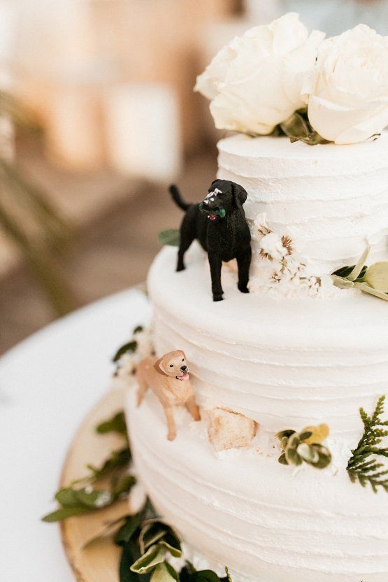 10-creative-ways-to-include-pets-in-your-wedding