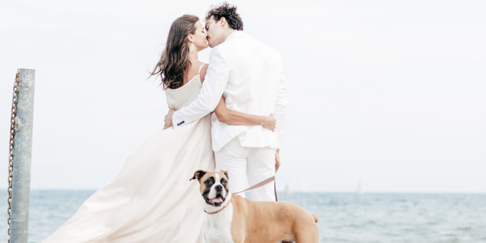 10-creative-ways-to-include-pets-in-your-wedding